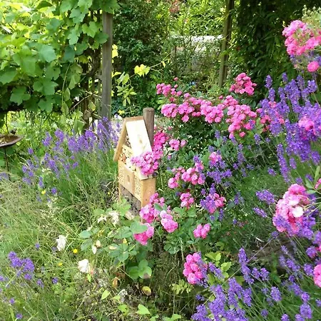 D'hotes La Maison Du Sart 3* Villeneuve-d'Ascq