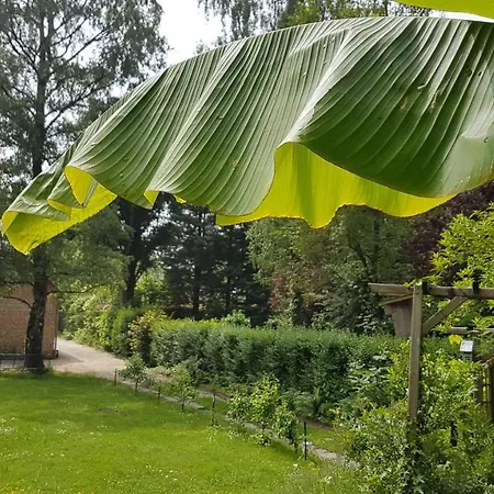 D'hotes La Maison Du Sart Couette-café 3*